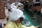 Kỳ 1: Nhiều SV kế toán bị ngất khi phải làm công nhân lắp ráp điện tử