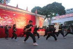 Biểu diễn võ thuật trong ngày chiến thắng Đống Đa tại TP Hồ Chí Minh