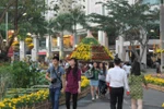 Cận cảnh "cung đường thủy sinh" giữa lòng thành phố Hồ Chí Minh