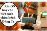 Hỏi xoáy đáp xoay chế: Chữa bệnh đãng trí