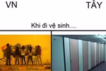 Điểm chung của thế giới