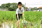 Nam sinh lớp 5 ước có đôi mắt sáng để học tập, phụng dưỡng ông bà