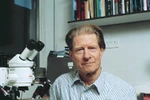 Chủ nhân Nobel Y học 2012 từng là "học sinh hạng bét"