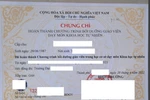 Học 4 năm đại học không bằng 3 tháng bồi dưỡng, sao vô lý thế? 