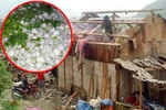 "Mưa đá sẽ còn tiếp diễn trong khoảng hai tháng nữa"