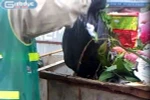 Vén bức màn bí ẩn về phòng phá thai khủng khiếp nhất Hà Nội