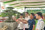 Hội thảo quốc gia về hoa, cây cảnh quy tụ hơn 300 chuyên gia, nghệ nhân