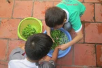 Nghỉ học tránh dịch, học sinh có thể học nhiều kỹ năng thay vì chỉ học sách vở