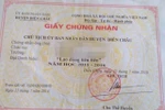 Lạm phát danh hiệu giáo viên lao động tiên tiến, vì đâu?