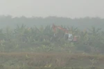 Truyền hình đưa tin như thế nào về vụ cưỡng chế ở Hải Phòng?