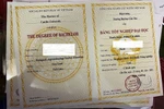 Bí thư Quảng Nam đề nghị cơ quan điều tra cung cấp danh sách cán bộ mua bằng giả