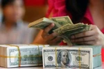 Tỷ giá năm 2013: Có nên phá giá VND ở mức 4%?