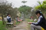 Nét đặc trưng của KTX Đại học Nông nghiệp Hà Nội 