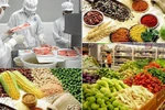 20% số cơ sở bị kiểm tra vi phạm an toàn thực phẩm