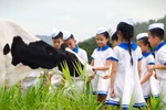Rạng rỡ Vươn cao Việt Nam