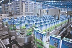Vinamilk nới "room" 100% cho nhà đầu tư ngoại, ai hưởng lợi?