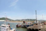 Lập tổ kiểm tra, giám sát môi trường Khu kinh tế Nghi Sơn