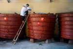 Vinastas không "độc lập, tin cậy và minh bạch" trong vụ khảo sát nước mắm