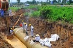 Sau nghi án "thông thầu", Vinaconex hủy mua ống nước của Trung Quốc 
