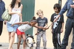Nhà Jolie - Pitt: Mỗi người một nơi