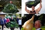 Lạ mắt với những giống cây trồng khổng lồ đạt kỷ lục Guiness