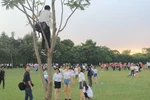Rác kỷ yếu phá hỏng hình ảnh của học sinh, sinh viên