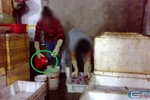 Suất ăn của con ở trường lèo tèo thế này, có bố mẹ nào cầm lòng được không?