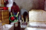 Tại sao phụ huynh một số nơi hoang mang trước bữa ăn học đường?