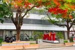 PTIT công bố điểm chuẩn năm 2023, ngành Công nghệ thông tin cao nhất 26,59 điểm