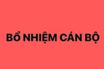 Bổ nhiệm Trợ lý Thủ tướng Chính phủ