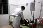 Cao Bằng: Từ đầu năm đến nay có 7 vụ ngộ độc xảy ra với 88 người nhập viện