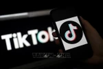 Tôi giật mình vì hơn nửa lớp ước mơ thành Tiktoker, Idol Tiktok