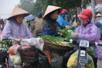 Không khí lạnh đột ngột, người dân Hà Nội “xếp hàng” mua rau