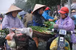 Không khí lạnh đột ngột, người dân Hà Nội “xếp hàng” mua rau