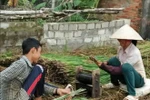 Kiểm điểm lãnh đạo, dừng học thêm, trả lại tiền cho học cho sinh Quảng Vọng