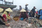 Ảnh: Kinh hoàng cảnh tượng rác thải tại xã biển Ngư Lộc
