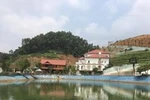 Trong tháng 8 sẽ có kết luận chính thức tài sản em trai Bí thư Yên Bái