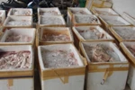 Phát hiện và tiêu hủy 500kg thịt, nôi tạng heo thối 