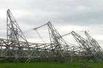 Tố lốc làm đổ cột đường dây 500 kV, vườn chuối không sao là không chấp nhận được