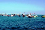 Ngăn cản cứu nạn ngư dân, Trung Quốc đang hành xử một cách vô nhân đạo