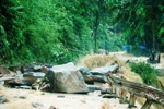 Hàng nghìn hộ dân tại Thanh Hóa bị cô lập do mưa lũ