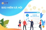 Sắp tới, người lao động đóng bảo hiểm xã hội 15 năm có thể được hưởng lương hưu