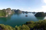 Vịnh Hạ Long - Quần đảo Cát Bà được công nhận là Di sản Thiên nhiên Thế giới