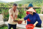 Hạ Long phấn đấu đưa 5 xã hoàn thành chương trình nông thôn mới nâng cao