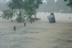 Mưa lớn khiến hàng loạt trường học phải cho học sinh nghỉ học