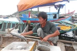 Người dân trắng tay bởi hàng tấn cá chết bất thường chỉ trong một đêm