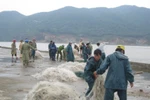 Miền Trung: Khoảng 50 nghìn dân được sơ tán đến nơi an toàn tránh bão