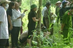 Đã tìm thấy thi thể bé trai trong vụ xe 7 chỗ bị lũ cuốn tại Khe Ang