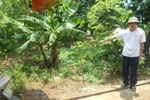 Người chồng vũ phu ra tay tàn độc sát hại vợ trước mặt cán bộ Toà án