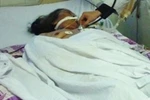 Hà Tĩnh: Trời giá rét, hai mẹ con nhập viện do sưởi ấm bằng than 